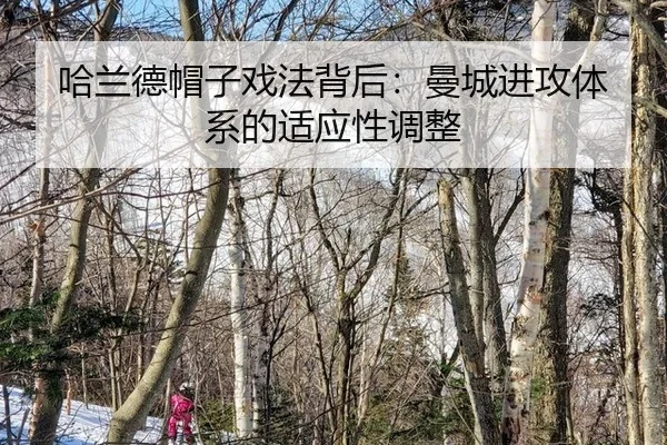 ha-lan-de-mao-zi-xi-fa-bei-hou-man-cheng-jin-gong-ti-xi-de-shi-ying-xing-tiao-zheng-2-894.jpg