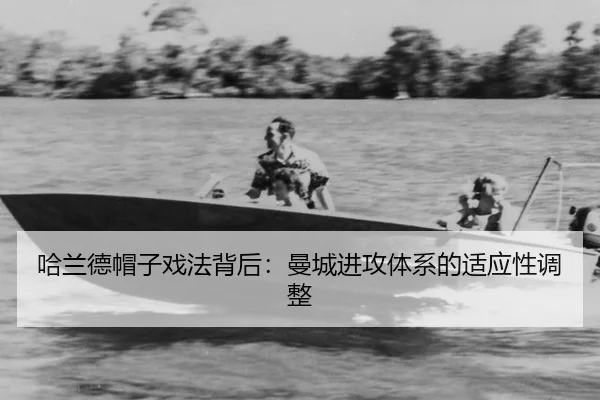 ha-lan-de-mao-zi-xi-fa-bei-hou-man-cheng-jin-gong-ti-xi-de-shi-ying-xing-tiao-zheng-3-123.jpg