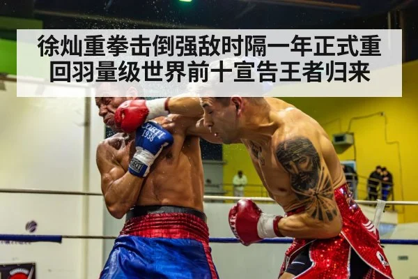 徐灿重拳击倒强敌时隔一年正式重回羽量级世界前十宣告王者归来